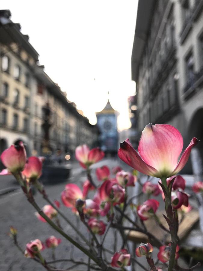 Historical, Bright & Beautiful In Old City - 3Rd Floor Bern Eksteriør billede